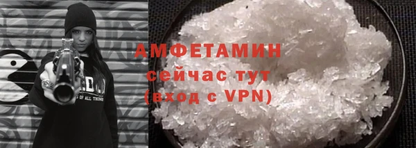 гидра Няндома